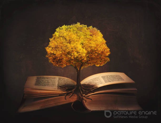 Читать книги онлайн бесплатно без регистрации booksread-online.com