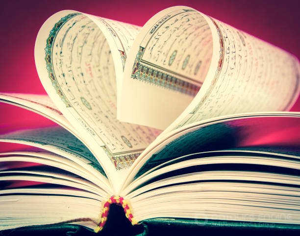 Читать книги онлайн бесплатно без регистрации booksread-online.com