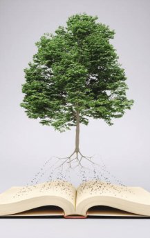📚 Книги про религию и духовность: Путеводитель в мир глубинных знаний 🌟 - Читать 📖 Читать онлайн 👀 Читаемые книги читать онлайн бесплатно 🔥 booksread-online.com