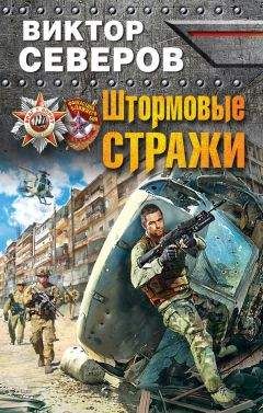 Виктор Северов - Штормовые стражи - Читать 📖 Читать онлайн 👀 Читаемые книги читать онлайн бесплатно 🔥 booksread-online.com