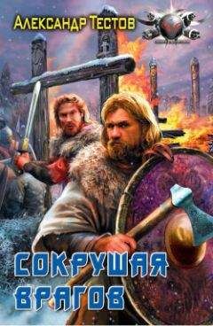 Александр Тестов - Сокрушая врагов - Читать 📖 Читать онлайн 👀 Читаемые книги читать онлайн бесплатно 🔥 booksread-online.com
