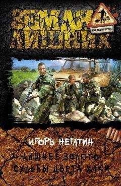 Игорь Негатин - Лишнее золото. Судьбы цвета хаки - Читать 📖 Читать онлайн 👀 Читаемые книги читать онлайн бесплатно 🔥 booksread-online.com