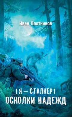 Иван Плотников - Осколки надежд - Читать 📖 Читать онлайн 👀 Читаемые книги читать онлайн бесплатно 🔥 booksread-online.com
