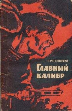Павел Рогозинский - Главный калибр - Читать 📖 Читать онлайн 👀 Читаемые книги читать онлайн бесплатно 🔥 booksread-online.com