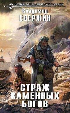 Владимир Свержин - Страж Каменных Богов - Читать 📖 Читать онлайн 👀 Читаемые книги читать онлайн бесплатно 🔥 booksread-online.com