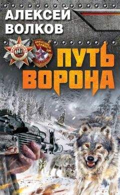 Алексей Волков - Путь Ворона - Читать 📖 Читать онлайн 👀 Читаемые книги читать онлайн бесплатно 🔥 booksread-online.com