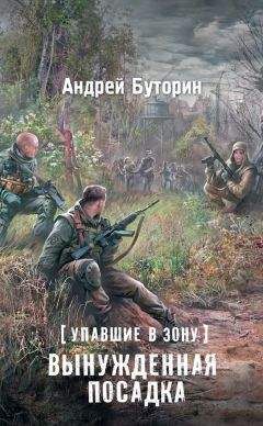 Андрей Буторин - Упавшие в Зону. Вынужденная посадка - Читать | Читать онлайн | Читаемые книги читать онлайн бесплатно | booksread-online.com