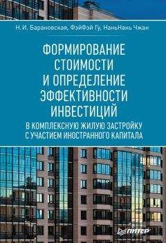 НаньНань Чжан - Формирование стоимости и определение эффективности инвестиций - Читать 📖 Читать онлайн 👀 Читаемые книги читать онлайн бесплатно 🔥 booksread-online.com