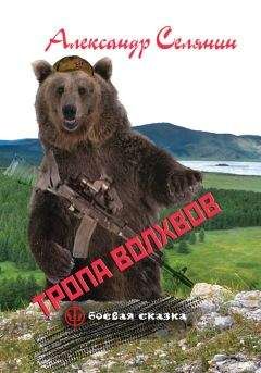 Александр Селянин - Тропа волхвов - Читать | Читать онлайн | Читаемые книги читать онлайн бесплатно | booksread-online.com