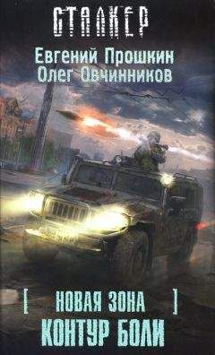 Евгений Прошкин - Новая Зона. Контур боли - Читать 📖 Читать онлайн 👀 Читаемые книги читать онлайн бесплатно 🔥 booksread-online.com