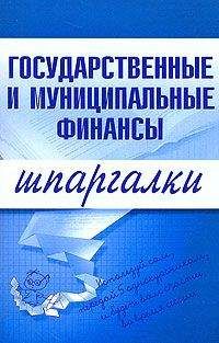 Мария Новикова - Государственные и муниципальные финансы - Читать 📖 Читать онлайн 👀 Читаемые книги читать онлайн бесплатно 🔥 booksread-online.com