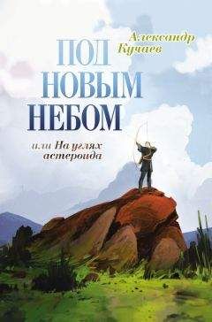 Александр Кучаев - Под новым небом, или На углях астероида - Читать 📖 Читать онлайн 👀 Читаемые книги читать онлайн бесплатно 🔥 booksread-online.com