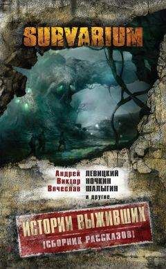 Александр Козин - Истории Выживших (сборник) - Читать 📖 Читать онлайн 👀 Читаемые книги читать онлайн бесплатно 🔥 booksread-online.com