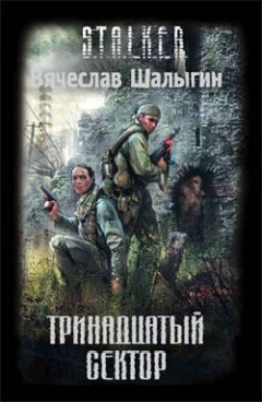 Вячеслав Шалыгин - Тринадцатый сектор - Читать 📖 Читать онлайн 👀 Читаемые книги читать онлайн бесплатно 🔥 booksread-online.com
