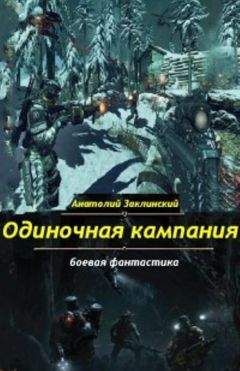Анатолий Заклинский - Одиночная кампания - Читать 📖 Читать онлайн 👀 Читаемые книги читать онлайн бесплатно 🔥 booksread-online.com