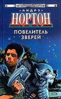Андрэ Нортон - Повелитель грома [Бог грома] - Читать 📖 Читать онлайн 👀 Читаемые книги читать онлайн бесплатно 🔥 booksread-online.com