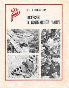 Станислав Олефир - Встречи в Колымской тайге - Читать 📖 Читать онлайн 👀 Читаемые книги читать онлайн бесплатно 🔥 booksread-online.com