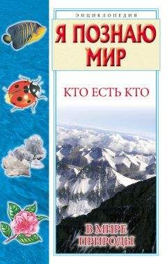 Галина Шалаева - Кто есть кто в мире природы - Читать 📖 Читать онлайн 👀 Читаемые книги читать онлайн бесплатно 🔥 booksread-online.com