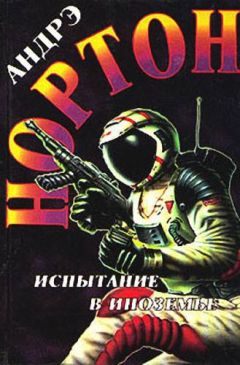Андрэ Нортон - Буря над колдуном - Читать 📖 Читать онлайн 👀 Читаемые книги читать онлайн бесплатно 🔥 booksread-online.com
