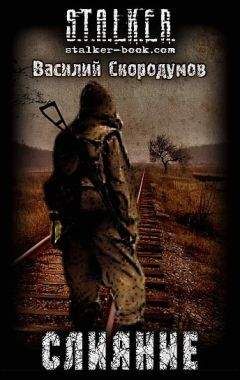 Василий Скородумов - Слияние - Читать | Читать онлайн | Читаемые книги читать онлайн бесплатно | booksread-online.com