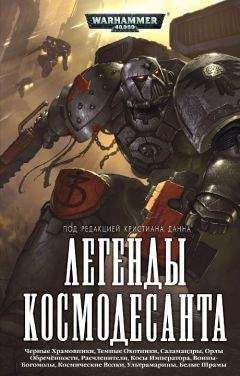 Ник Ким - Легенды Космодесанта - Читать Читать онлайн Читаемые книги читать онлайн бесплатно booksread-online.com