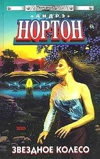 Андрэ Нортон - Звёздное колесо - Читать 📖 Читать онлайн 👀 Читаемые книги читать онлайн бесплатно 🔥 booksread-online.com