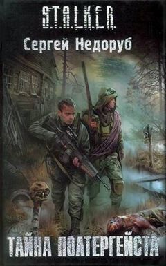Сергей Недоруб - Тайна Полтергейста - Читать 📖 Читать онлайн 👀 Читаемые книги читать онлайн бесплатно 🔥 booksread-online.com