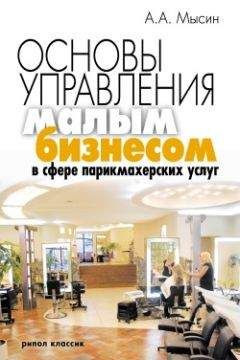 Александр Мысин - Основы управления малым бизнесом в сфере парикмахерских услуг - Читать 📖 Читать онлайн 👀 Читаемые книги читать онлайн бесплатно 🔥 booksread-online.com