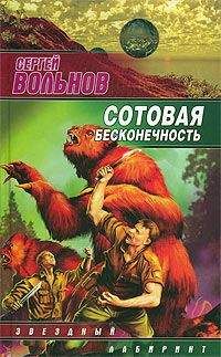 Сергей Вольнов - Сотовая бесконечность - Читать 📖 Читать онлайн 👀 Читаемые книги читать онлайн бесплатно 🔥 booksread-online.com