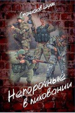 Станислав Шуляк - Непорочные в ликовании - Читать 📖 Читать онлайн 👀 Читаемые книги читать онлайн бесплатно 🔥 booksread-online.com