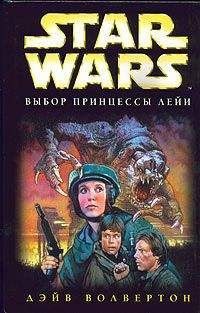 Дэйв Волвертон - Выбор принцессы Лейи - Читать 📖 Читать онлайн 👀 Читаемые книги читать онлайн бесплатно 🔥 booksread-online.com