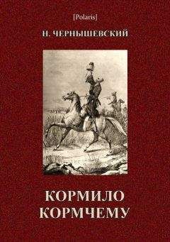 Николай Чернышевский - Комило кормчему - Читать 📖 Читать онлайн 👀 Читаемые книги читать онлайн бесплатно 🔥 booksread-online.com