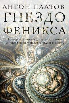 Антон Платов - Гнездо Феникса - Читать 📖 Читать онлайн 👀 Читаемые книги читать онлайн бесплатно 🔥 booksread-online.com