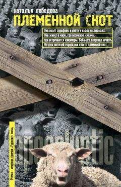 Наталья Лебедева - Племенной скот - Читать 📖 Читать онлайн 👀 Читаемые книги читать онлайн бесплатно 🔥 booksread-online.com