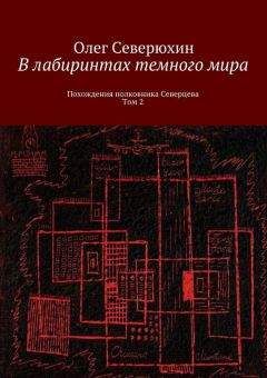 Олег Северюхин - В лабиринтах тёмного мира. Том 2 - Читать | Читать онлайн | Читаемые книги читать онлайн бесплатно | booksread-online.com