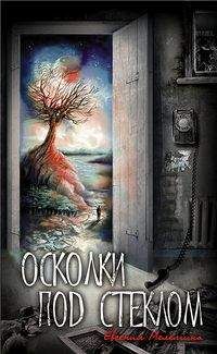 Евгения Мелемина - Осколки под стеклом - Читать | Читать онлайн | Читаемые книги читать онлайн бесплатно | booksread-online.com