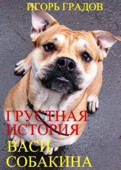 Игорь Градов - Грустная история Васи Собакина - Читать 📖 Читать онлайн 👀 Читаемые книги читать онлайн бесплатно 🔥 booksread-online.com