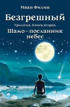 Иван Филин - Шамо – посланник небес - Читать 📖 Читать онлайн 👀 Читаемые книги читать онлайн бесплатно 🔥 booksread-online.com