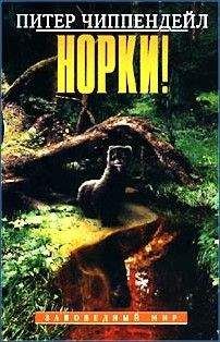Питер Чиппендейл - Норки! - Читать 📖 Читать онлайн 👀 Читаемые книги читать онлайн бесплатно 🔥 booksread-online.com