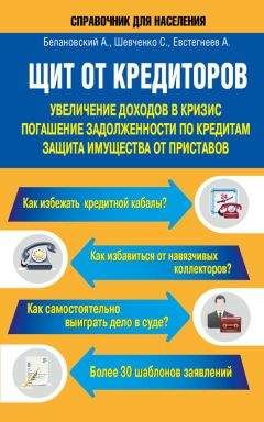 Светлана Шевченко - Щит от кредиторов. Увеличение доходов в кризис, погашение задолженности по кредитам, защита имущества от приставов - Читать 📖 Читать онлайн 👀 Читаемые книги читать онлайн бесплатно 🔥 booksread-online.com