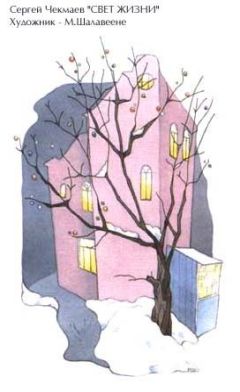 Сергей Чекмаев - Свет жизни - Читать 📖 Читать онлайн 👀 Читаемые книги читать онлайн бесплатно 🔥 booksread-online.com