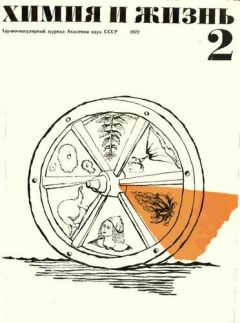 Леона Райноу - Год последнего орла - Читать 📖 Читать онлайн 👀 Читаемые книги читать онлайн бесплатно 🔥 booksread-online.com