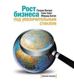 Патрик Вигери - Рост бизнеса под увеличительным стеклом - Читать 📖 Читать онлайн 👀 Читаемые книги читать онлайн бесплатно 🔥 booksread-online.com