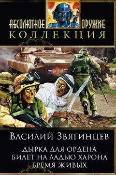 Василий Звягинцев - Дырка для ордена; Билет на ладью Харона; Бремя живых - Читать 📖 Читать онлайн 👀 Читаемые книги читать онлайн бесплатно 🔥 booksread-online.com