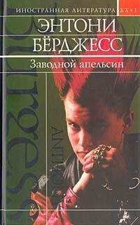 Энтони Берджесс - Заводной апельсин - Читать 📖 Читать онлайн 👀 Читаемые книги читать онлайн бесплатно 🔥 booksread-online.com