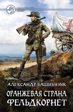 Александр Башибузук - Оранжевая страна. Фельдкорнет - Читать 📖 Читать онлайн 👀 Читаемые книги читать онлайн бесплатно 🔥 booksread-online.com