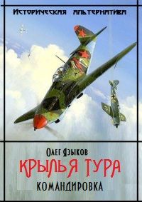 Олег Языков - Крылья Тура. Командировка [2 том полностью] - Читать 📖 Читать онлайн 👀 Читаемые книги читать онлайн бесплатно 🔥 booksread-online.com