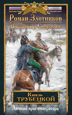 Владимир Свержин - Личный враг императора - Читать 📖 Читать онлайн 👀 Читаемые книги читать онлайн бесплатно 🔥 booksread-online.com