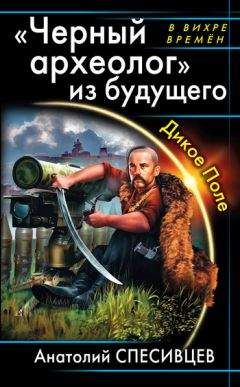 Анатолий Спесивцев - «Черный археолог» из будущего. Дикое Поле - Читать 📖 Читать онлайн 👀 Читаемые книги читать онлайн бесплатно 🔥 booksread-online.com