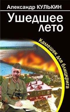 Александр Кулькин - Ушедшее лето. Камешек для блицкрига - Читать 📖 Читать онлайн 👀 Читаемые книги читать онлайн бесплатно 🔥 booksread-online.com